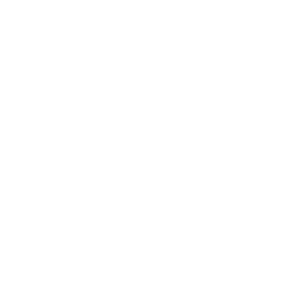 Wiskered Logo